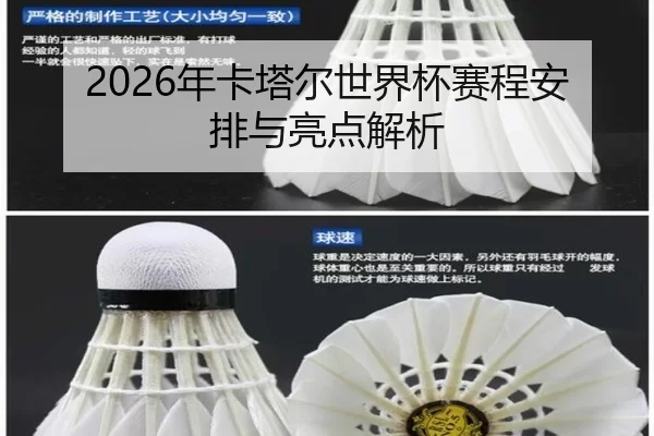 2026年卡塔尔世界杯赛程安排与亮点解析